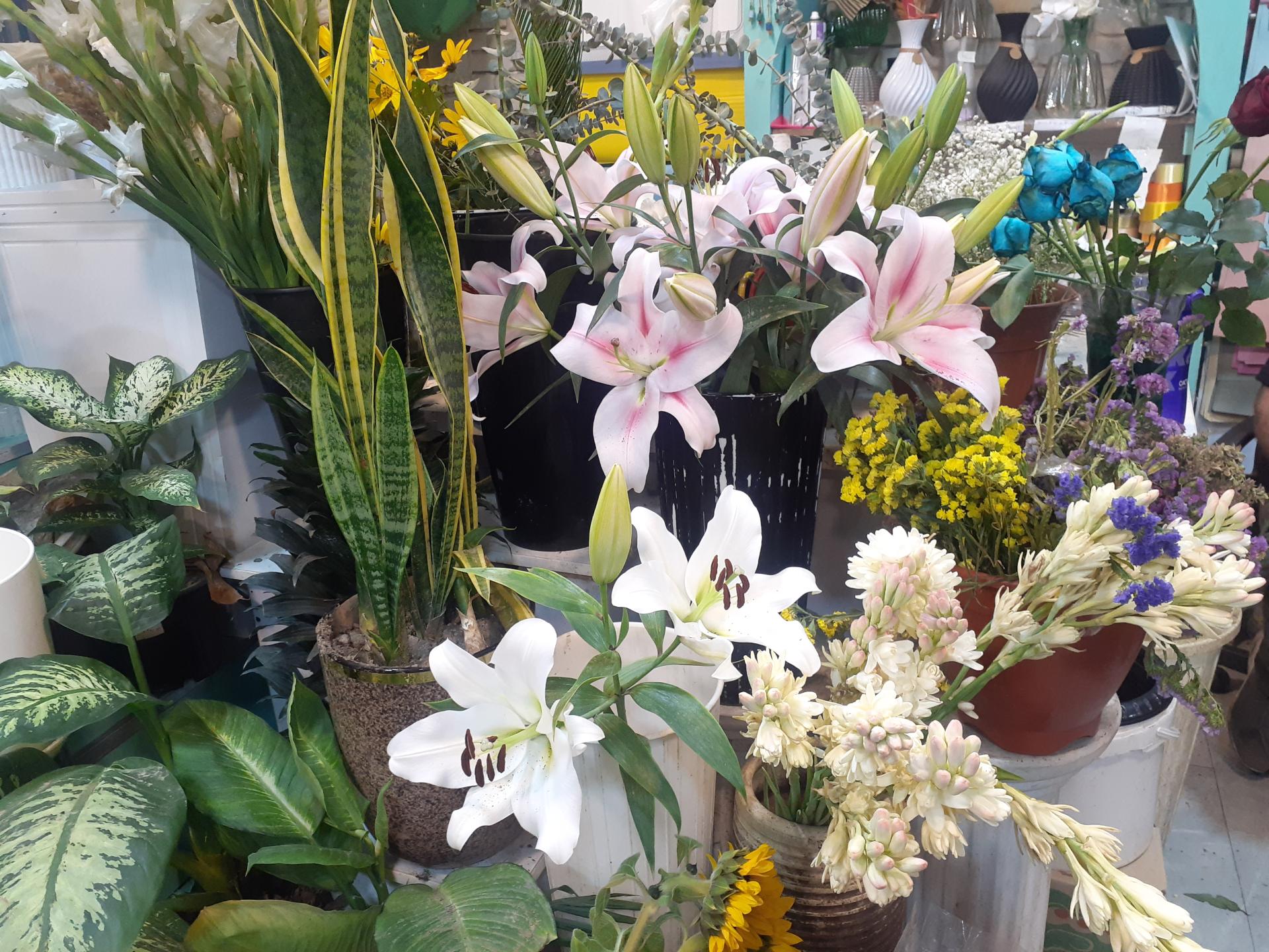 عکس گلفروشی بهارک