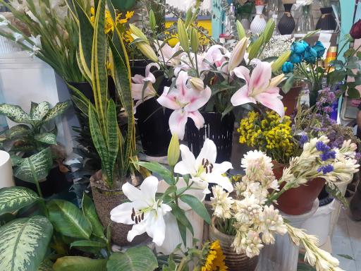 گلفروشی بهارک