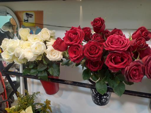 گلفروشی بهارک