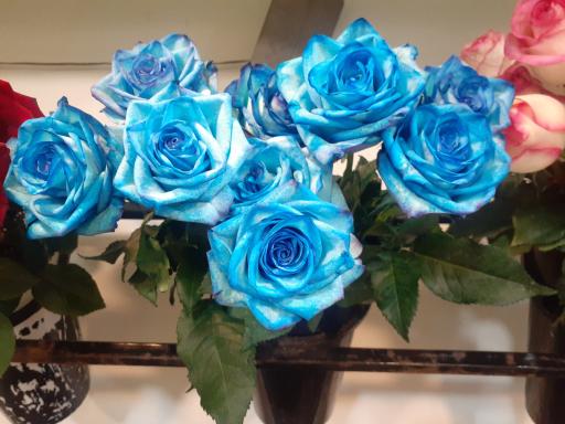 گلفروشی بهارک