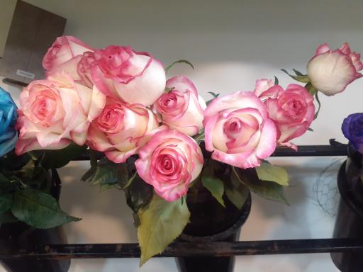 عکس گلفروشی بهارک