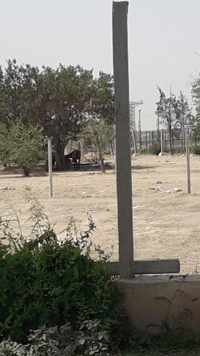 عکس پیست سوارکاری ولایت