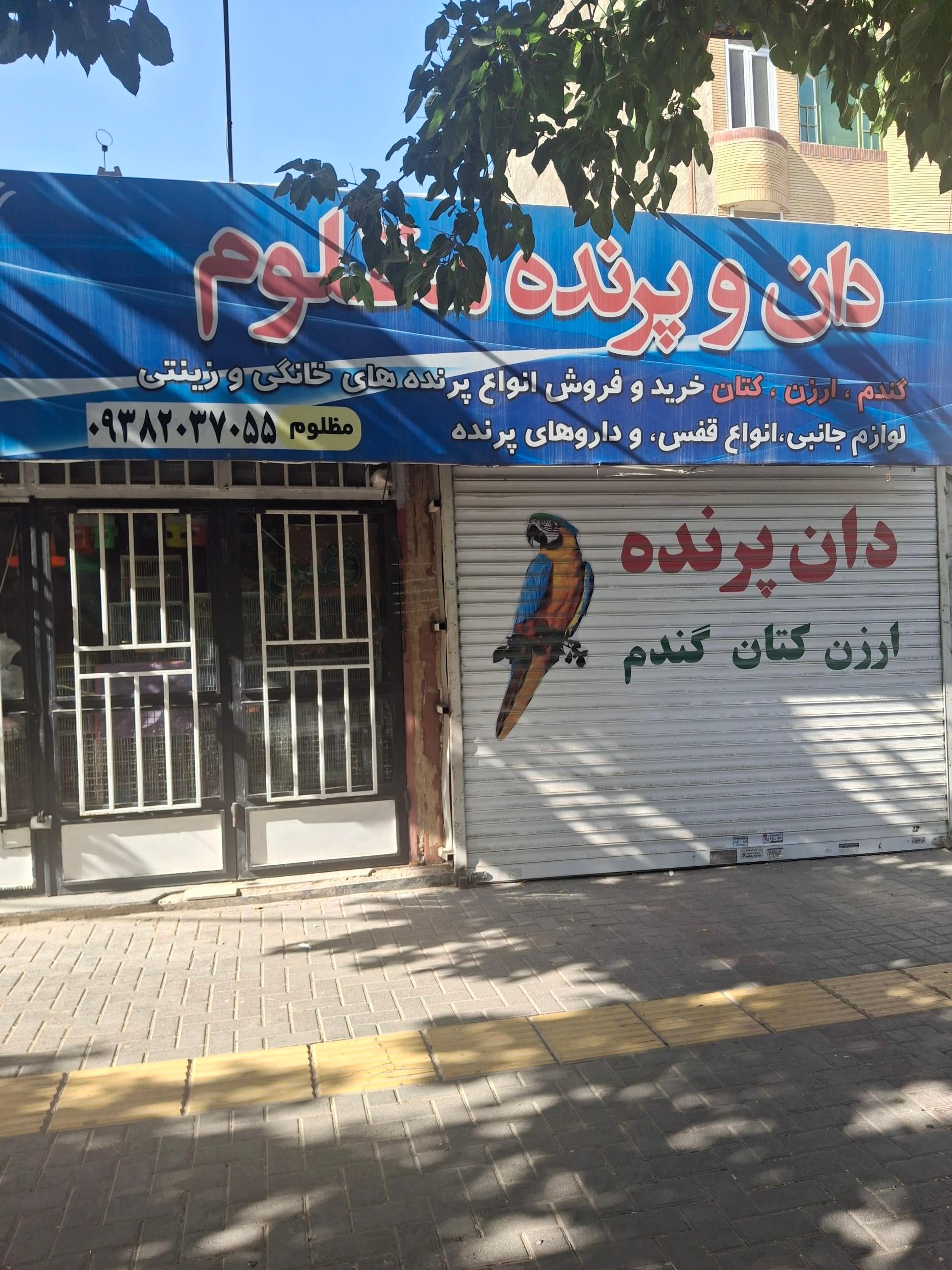 عکس پرنده فروشی و لوازم