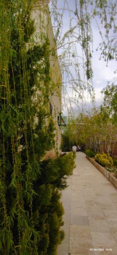 عکس باغ رستوران زمرد