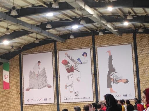 عکس هیأت تکواندو استان البرز