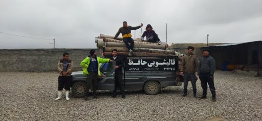 عکس قالیشویی حافظ (پورابراهیم)