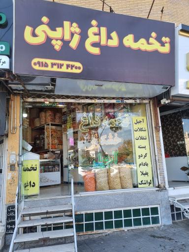 عکس تخمه داغ ژاپنی