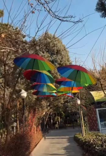 عکس باغ رستوران عمارت پایپار