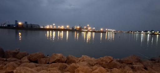 عکس تالاب پارک جنگلی