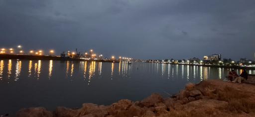 عکس تالاب پارک جنگلی