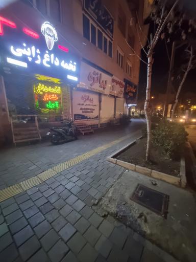 عکس تخمه داغ ژاپنی