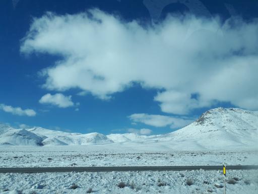 عکس سفید دشت