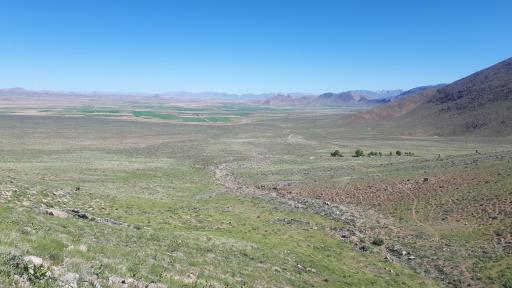 عکس سفید دشت