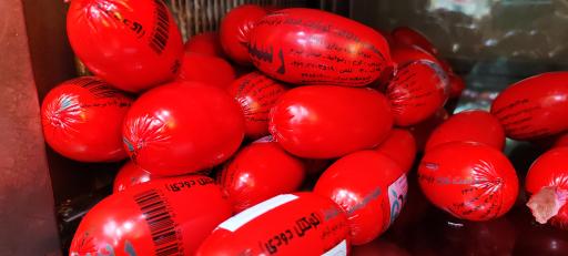 عکس فست فود رسپینا