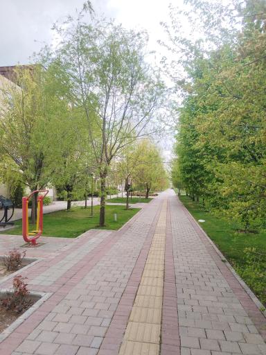 عکس پارک پروفسور هشترودی