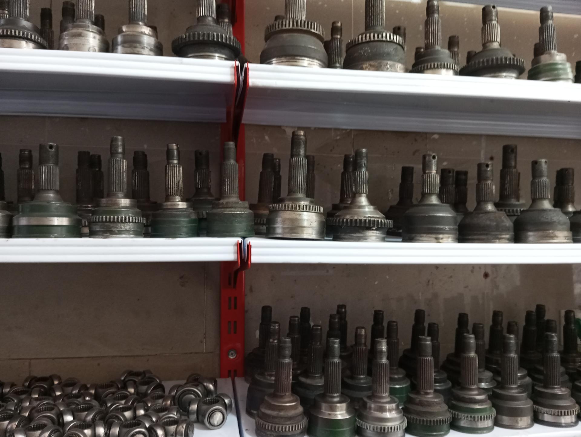 عکس جهان پلوس