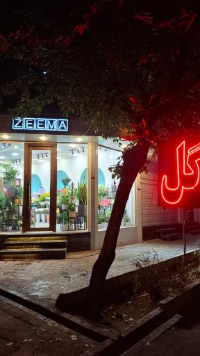 عکس گلفروشی زیما