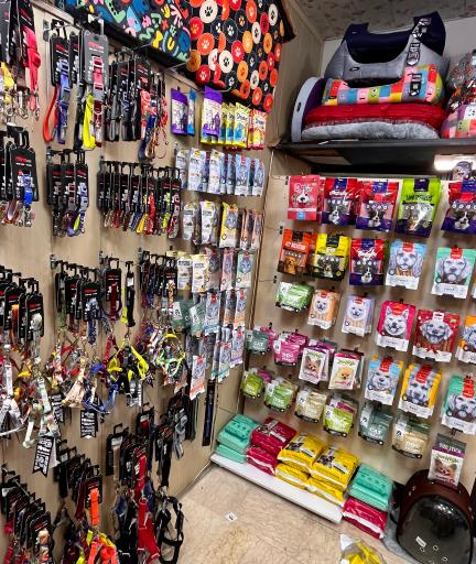 عکس پت شاپ مرزداران