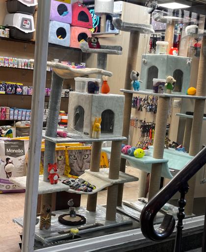 عکس پت شاپ مرزداران