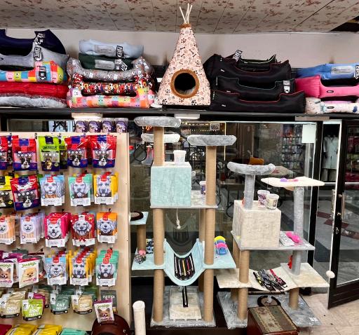 عکس پت شاپ مرزداران