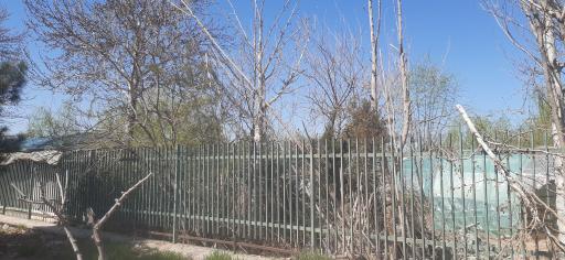 عکس نهالستان جلیلی وثوق (مبین نهال)