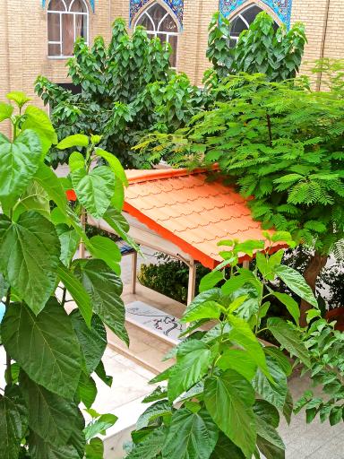 عکس مدرسه علمیه امام باقر علیه السلام