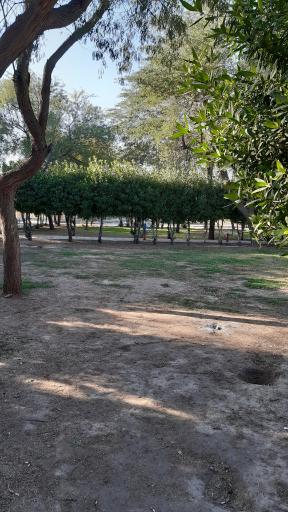 عکس پارک‌فردوس