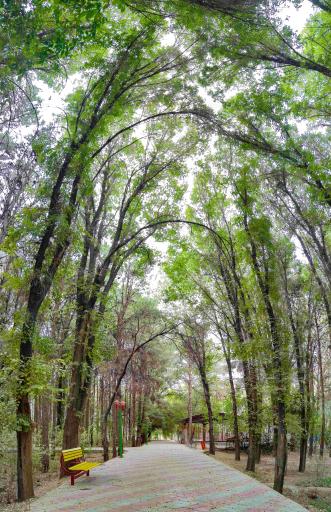 عکس پارک ملت