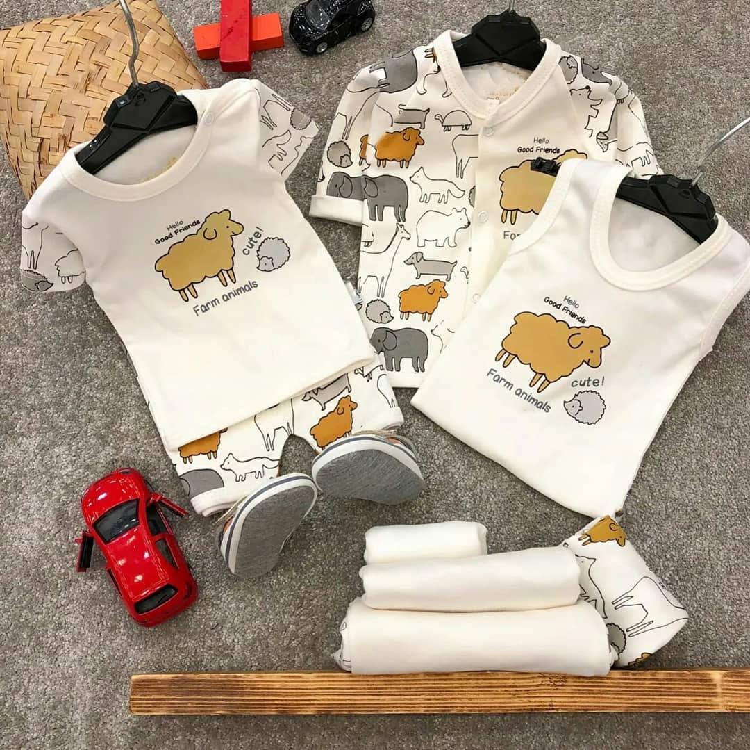 عکس سیسمونی فندق