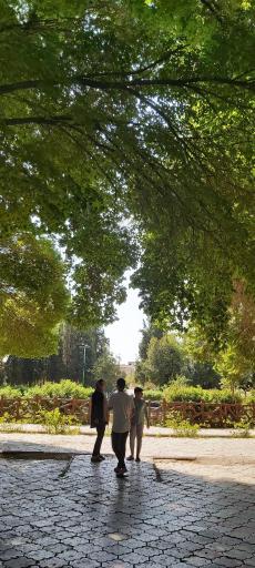 عکس پارک ملت