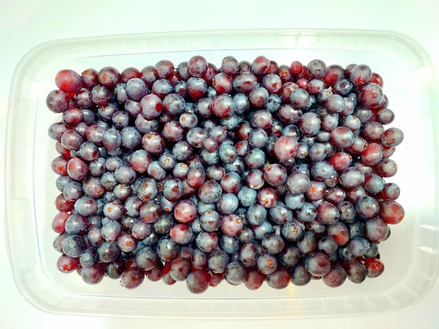 عکس آبمیوه بار تهرون فیت 