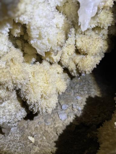 عکس غار وانیا