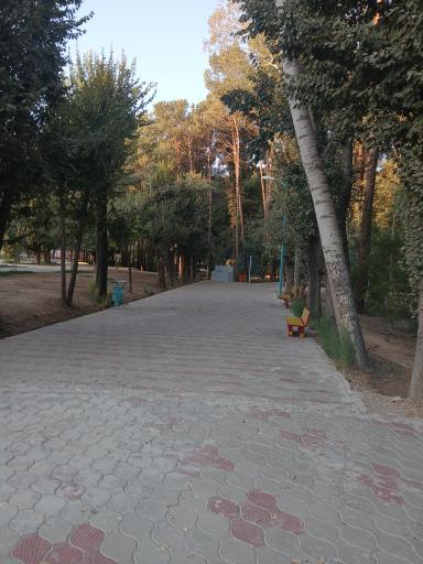 عکس پارک ملت