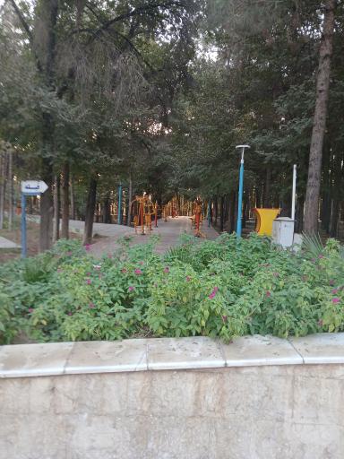 عکس پارک ملت