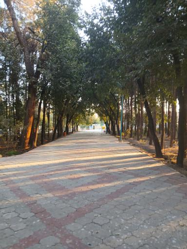 عکس پارک ملت