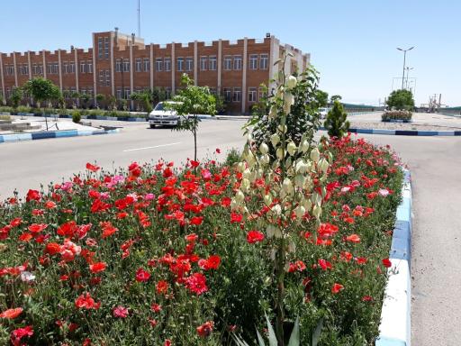 عکس دانشگاه جامع گرمسار