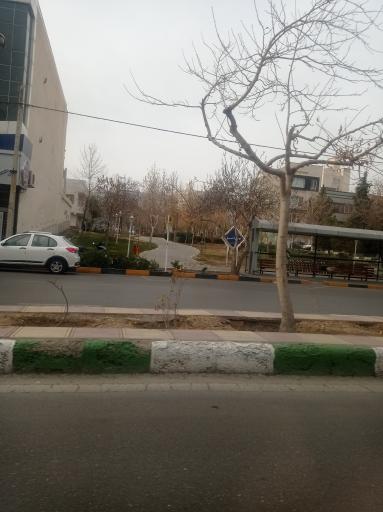 عکس بوستان انار