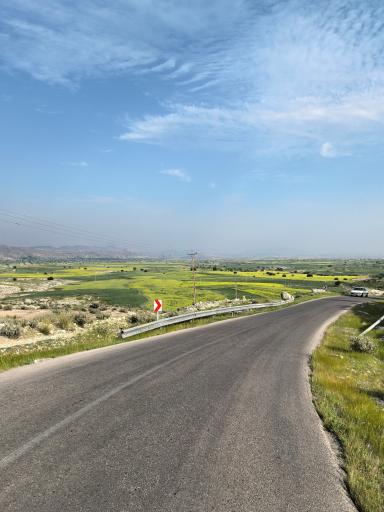 عکس لالی