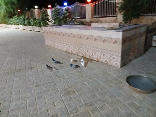 عکس مجموعه گردشگری اسپیناس زنجان