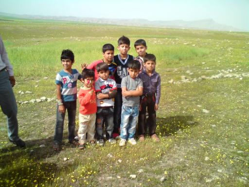 عکس لالی