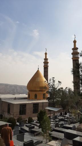 عکس امامزاده محمد (ع)