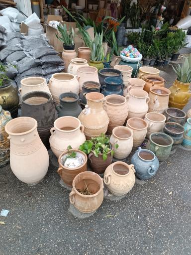 عکس گل فروشی دایی عباس