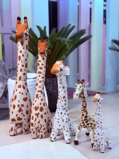 عکس سیسمونی کیدزلند