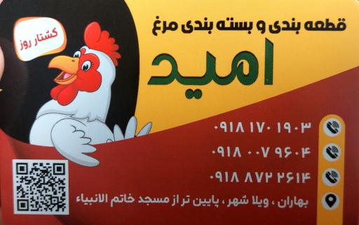 عکس قطعه بندی مرغ امید