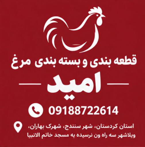 عکس قطعه بندی و بسته بندی مرغ امید