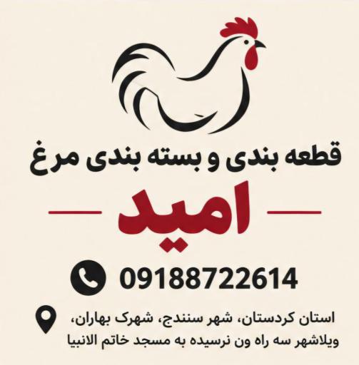 عکس قطعه بندی و بسته بندی مرغ امید