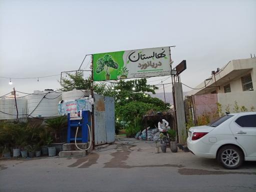 عکس نهالستان دریانورد