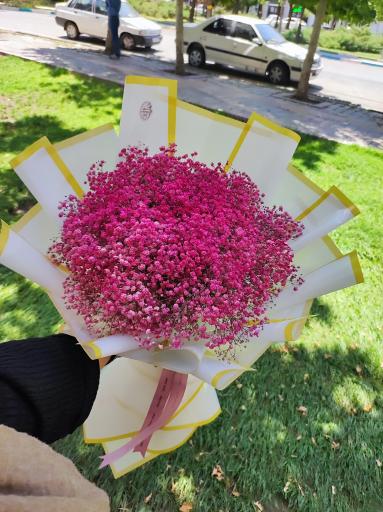 عکس گل فروشی آوان