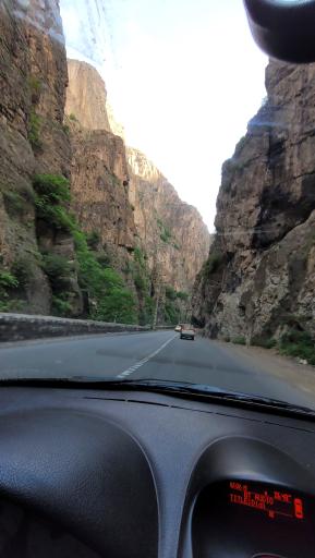 عکس هفت برادران