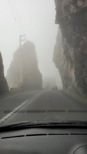 عکس هفت برادران